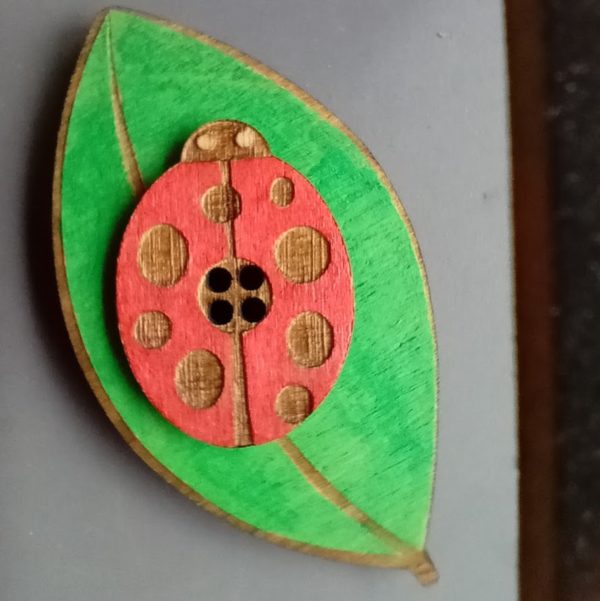 Large Button - Ladybird on Leaf